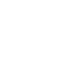 alert icon